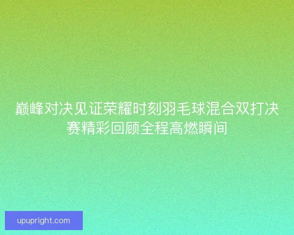 巅峰对决见证荣耀时刻羽毛球混合双打决赛精彩回顾全程高燃瞬间